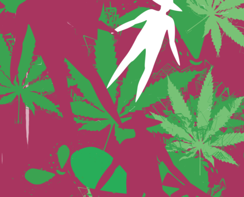 Image colloque international Les cultures à usage illicite dans la région andine