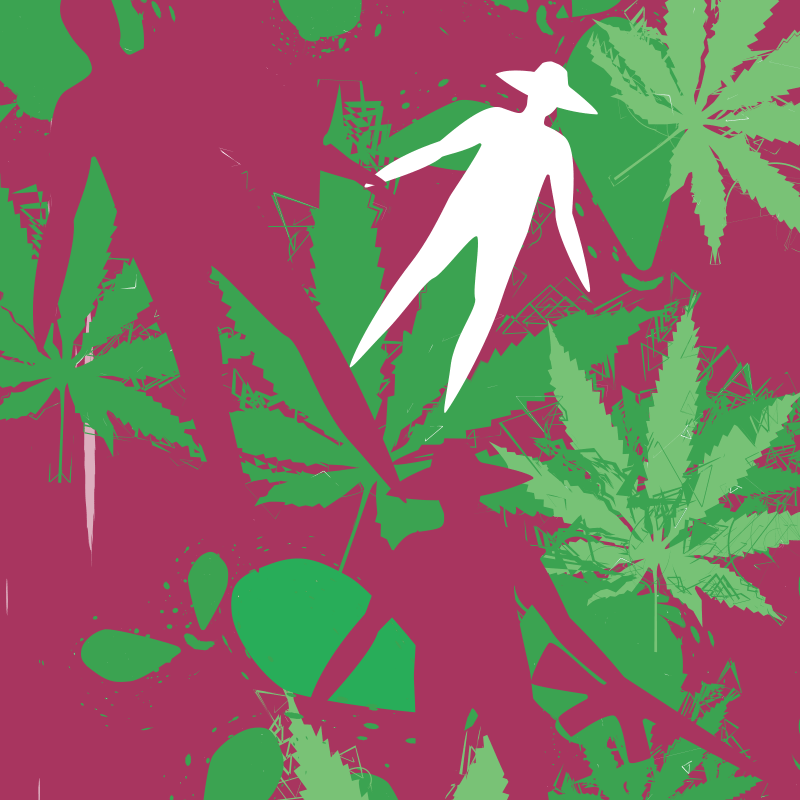 Image colloque international Les cultures à usage illicite dans la région andine