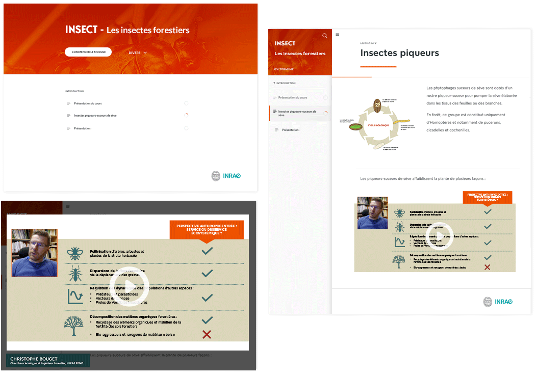 Page formation INSECT - interface e-learning entomologie