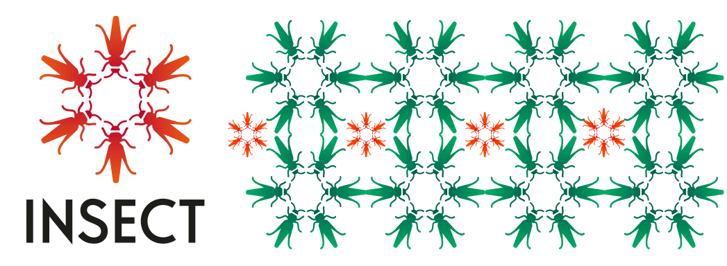 Charte graphique INSECT MNHN - palette couleurs et typographie e-learning