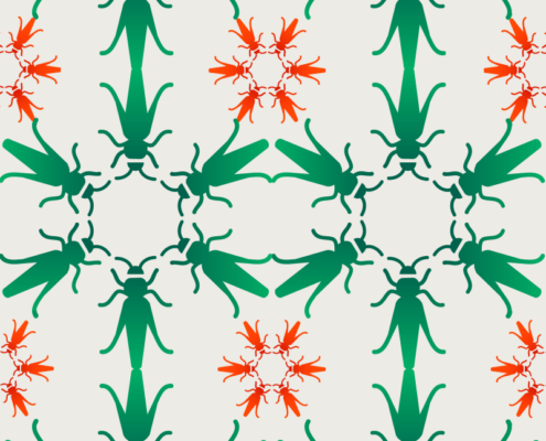 INSECT-e-learning charte