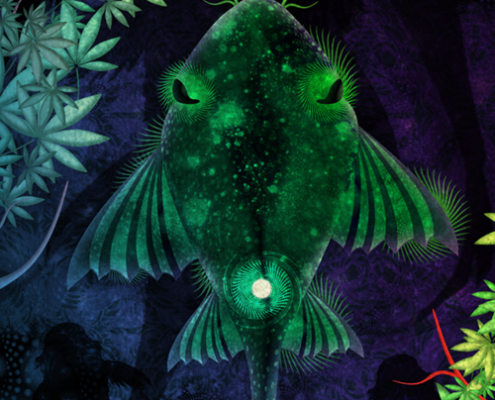 Vision Amazonica