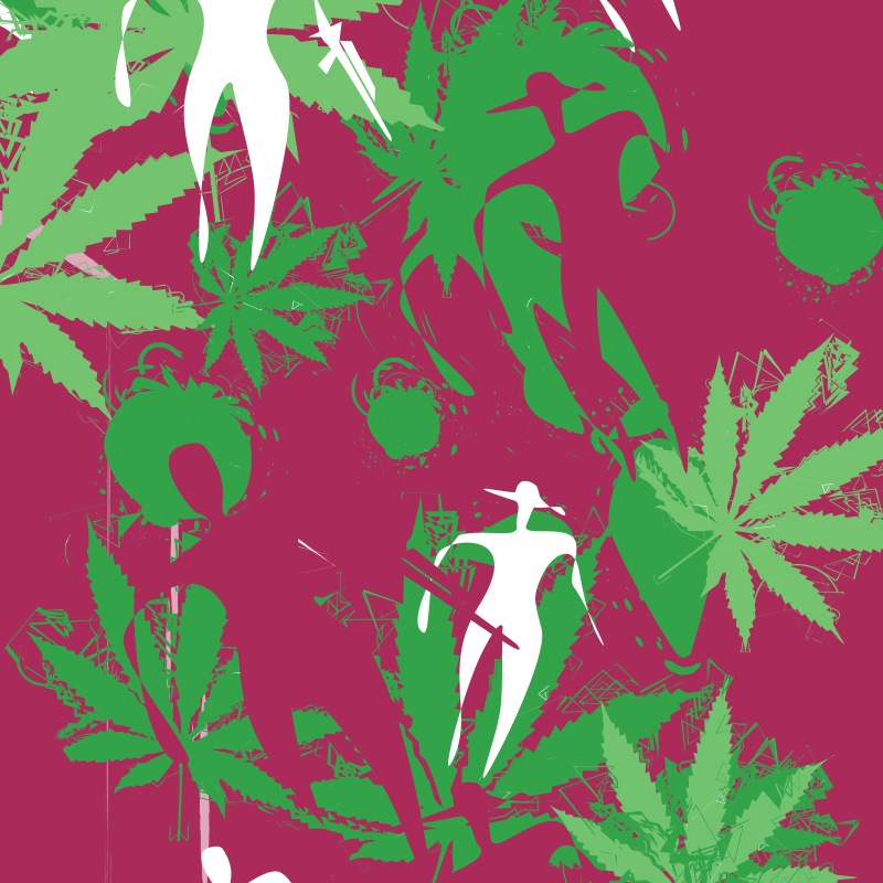 Image colloque international Les cultures à usage illicite dans la région andine