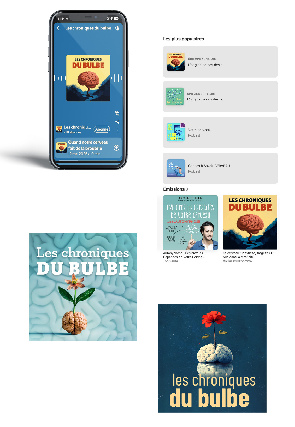 chroniques-du-bulbe2 Déclinaisons visuelles podcast Les chroniques du bulbe